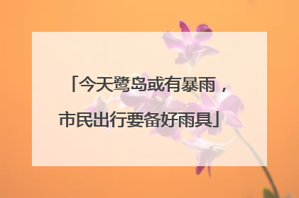 今天鹭岛或有暴雨，市民出行要备好雨具